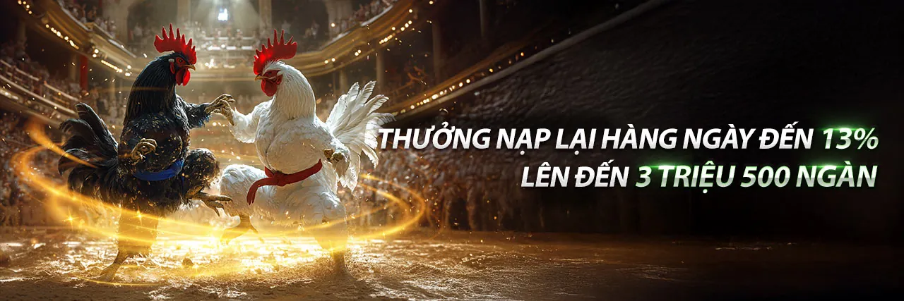 Tổng hợp khuyến mãi hấp dẫn 2026 tại nohu78 com