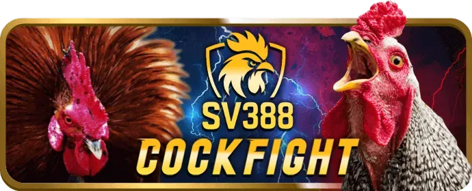 Bàn chơi Baccarat trực tuyến với dealer và chip